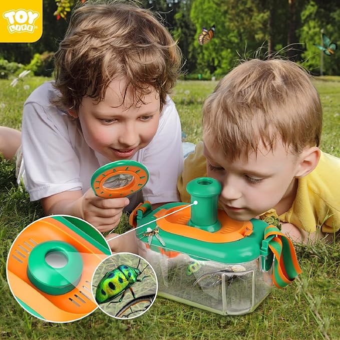 Children's Insect Butterfly Ca - огляд і ціна Outdoor Adventure Activities For Kids